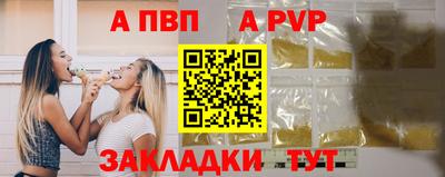 стаф Берёзовский