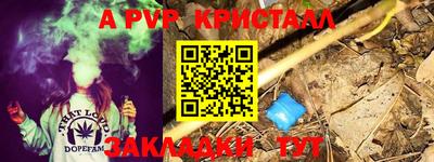 стаф Берёзовский