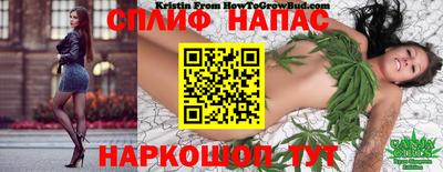 a pvp Бийск
