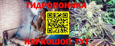 a pvp Бийск