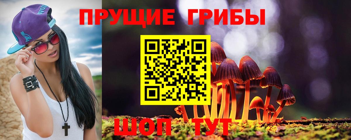 Белореченск  Псилоцибиновые грибы Psilocybe  Вход с VPN  Псилоцибиновые грибы Cubensis 